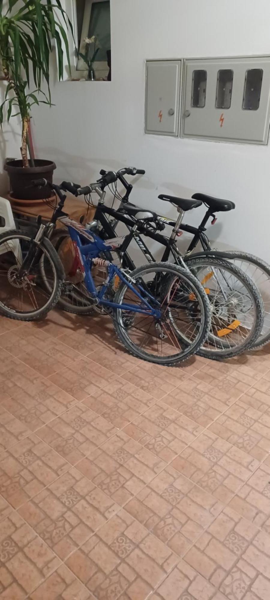Appartement Kamenjak Free Bikes à Premantura Extérieur photo